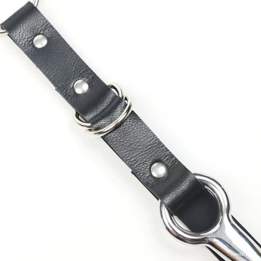 Anal with EverydayUse Kinky and Collar 5853 Leash Hook 0124